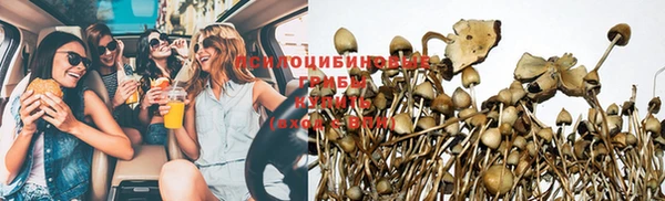 прущий лед Армянск