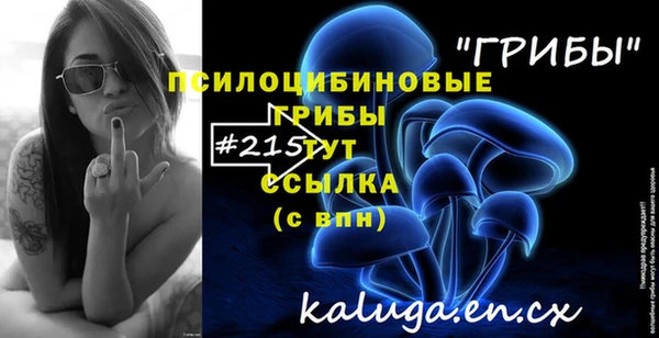 круглые Алзамай