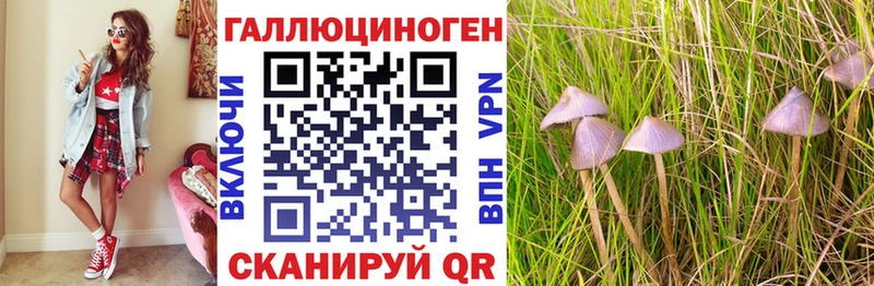 купить наркотик  Мытищи  Псилоцибиновые грибы Magic Shrooms 